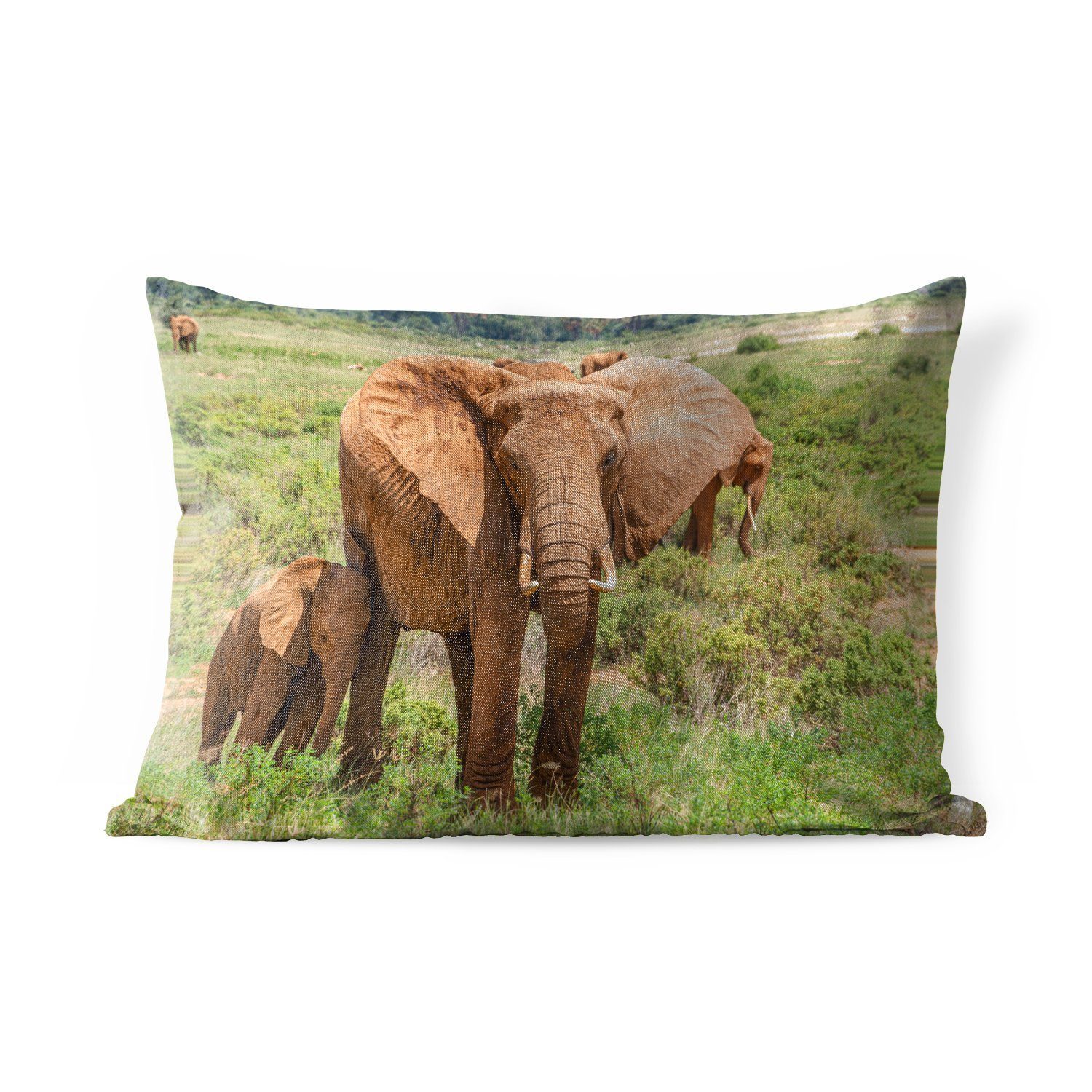Dekokissenbezug, Baby Elefantenmutter im Outdoor-Dekorationskissen, MuchoWow mit ihrem Dekokissen Kissenhülle Gras, Polyester,