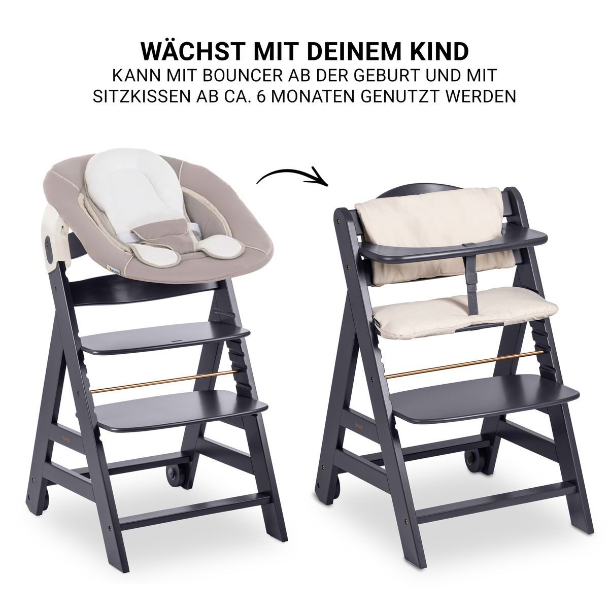 Hauck Hochstuhl Beta Plus Dark Grey - Newborn Set, Babystuhl ab Geburt inkl. Aufsatz für Neugeborene, Tisch, Sitzauflage – Bild 4 von 5