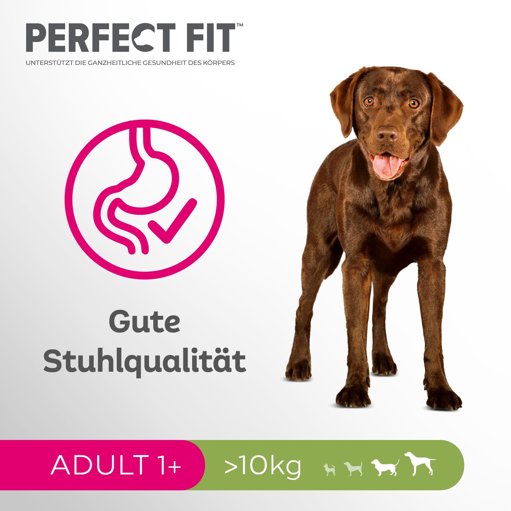 Perfect Fit PERFECT FIT™ Hundefutter Trockenfutter Adult >10kg Huhn 2 x 6kg, Trockenfutter für: Hunde