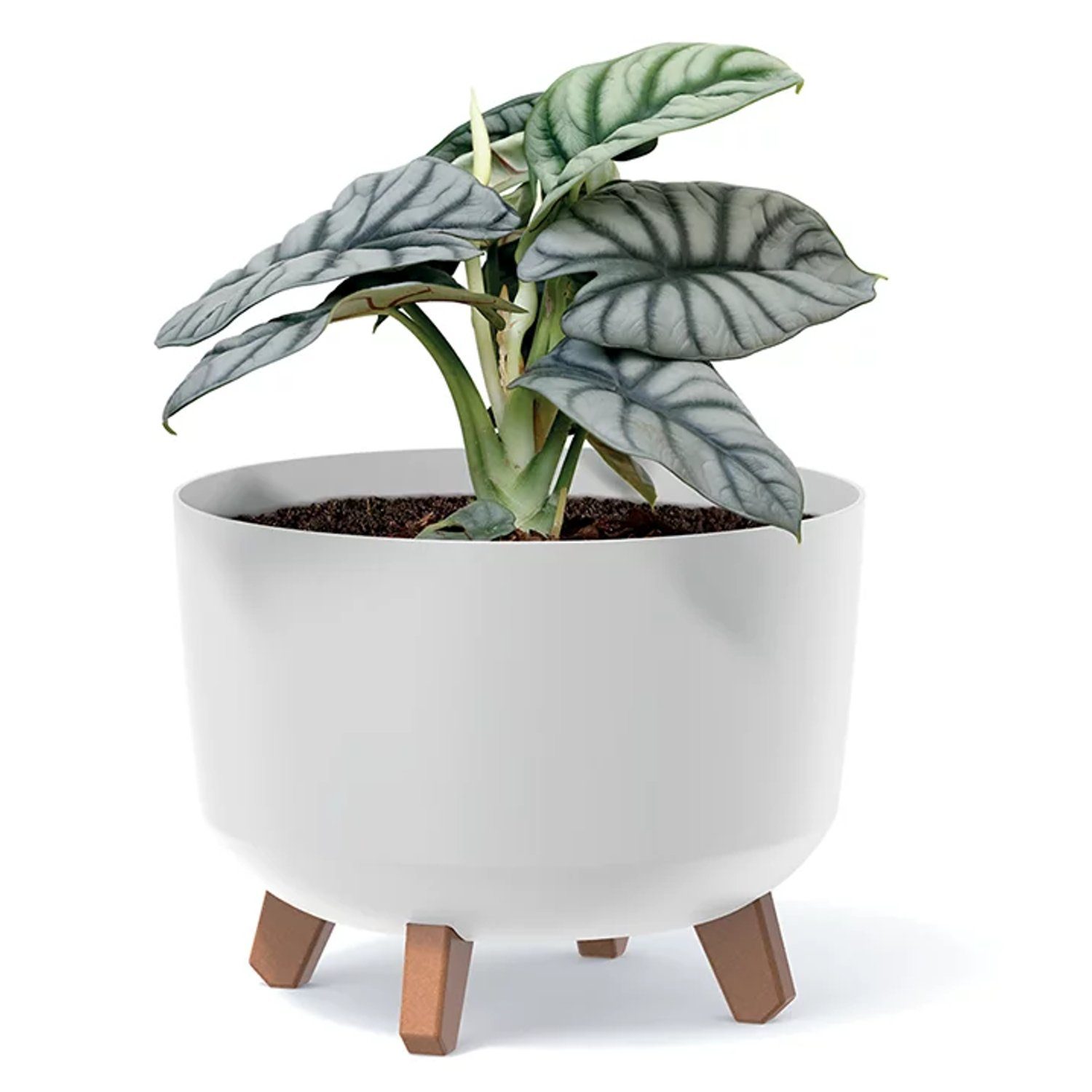 Prosperplast Blumentopf, Blumentopf mit abnehmbaren Beinen günstig online kaufen