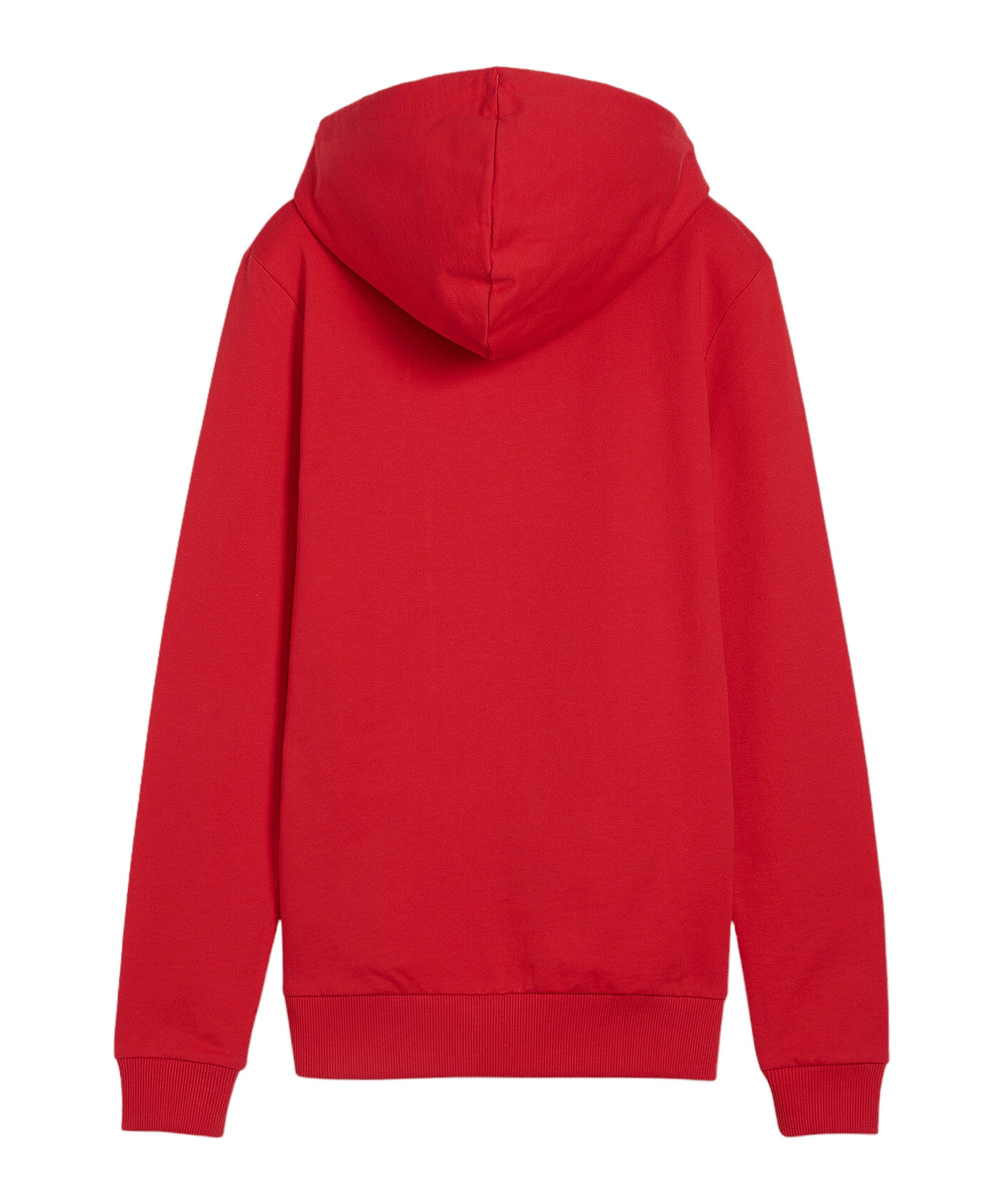 PUMA Sweater PUMA teamGOAL Casuals Hoody günstig online kaufen