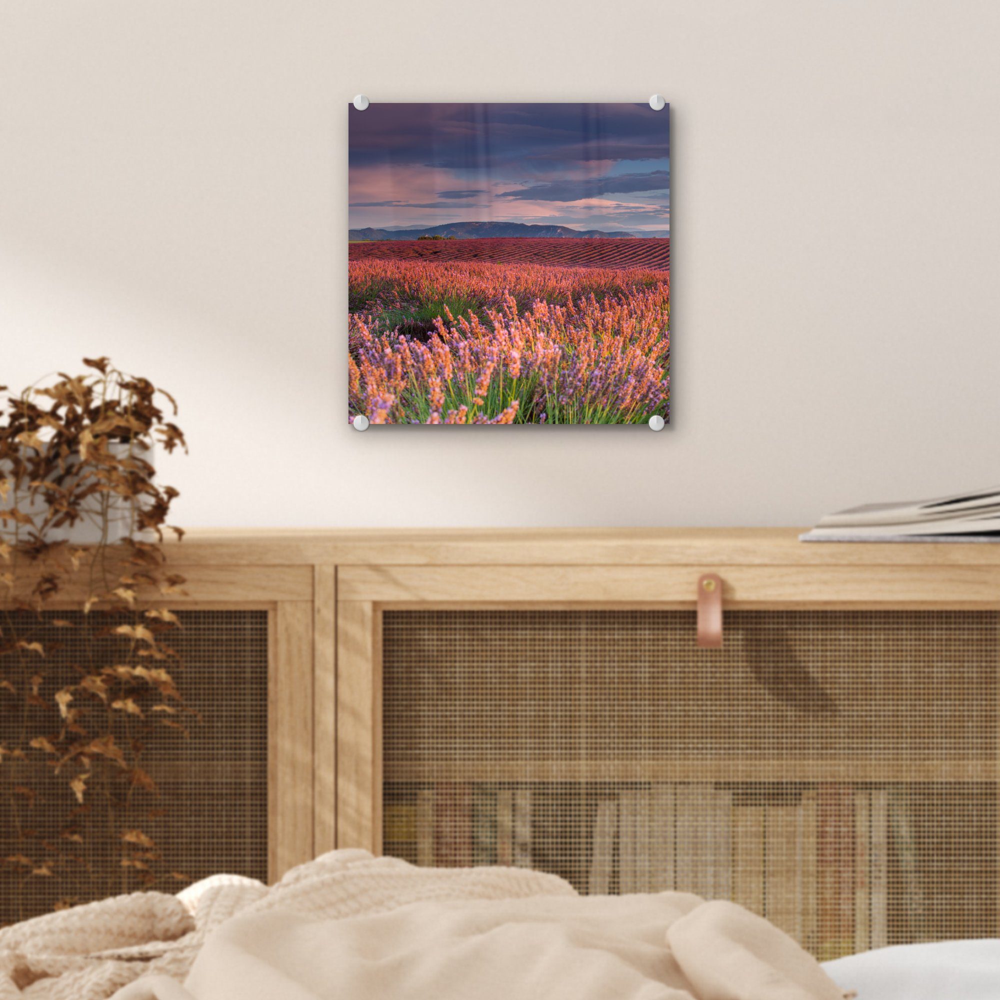 MuchoWow Acrylglasbild Lavendelfeld bei einem auf Glas - Glasbilder Wanddekoration Sonnenuntergang, auf Foto St), Bilder Glas ruhigen (1 Wandbild - 