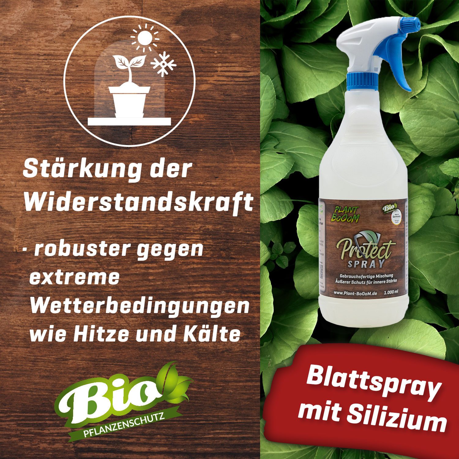 Plant Booom Pflanzenstärkungsmittel Protect Spray Plant BoOom, 1L Sprühflasche, verschiedene Mengen erhältlich
