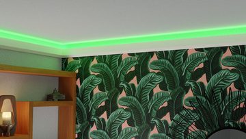 HEXIMO Eckprofil HLED 4 (LED Stuckleisten klassisch, XPS Styropor indirekte Beleuchtung Wand & Decke Sockelleisten Lichtvoutenprofil (Muster HLED 4)