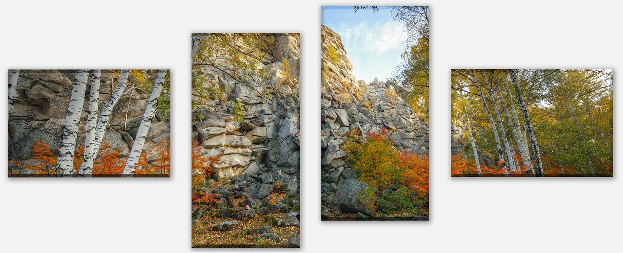 wandmotiv24 Mehrteilige Bilder Herbst Birkenbaum Wald, Landschaft (Set, 4 St), Wandbild, Wanddeko, Leinwandbilder in versch. Größen