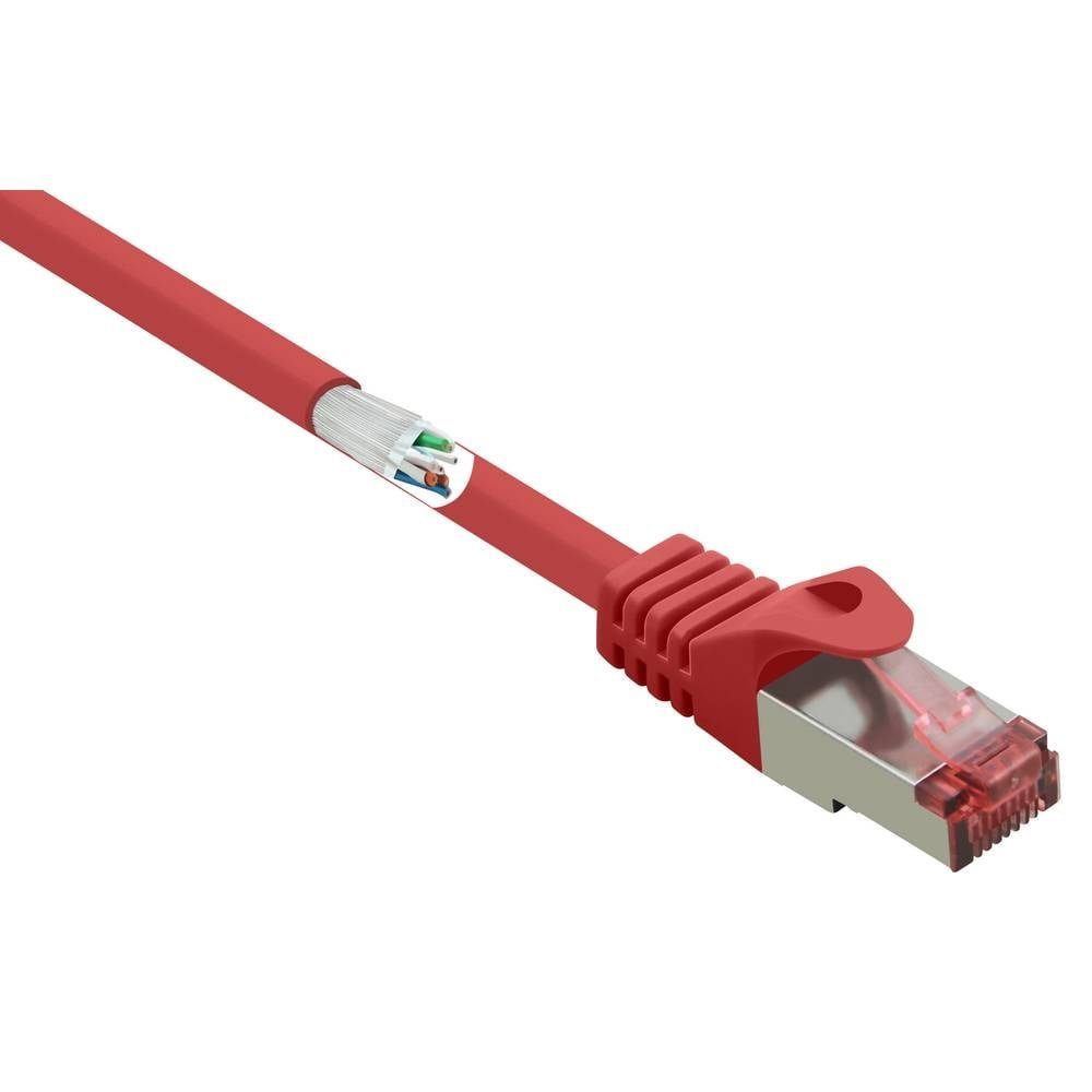 LAN-Kabel S/FTP Renkforce m CAT6 Netzwerkkabel 3