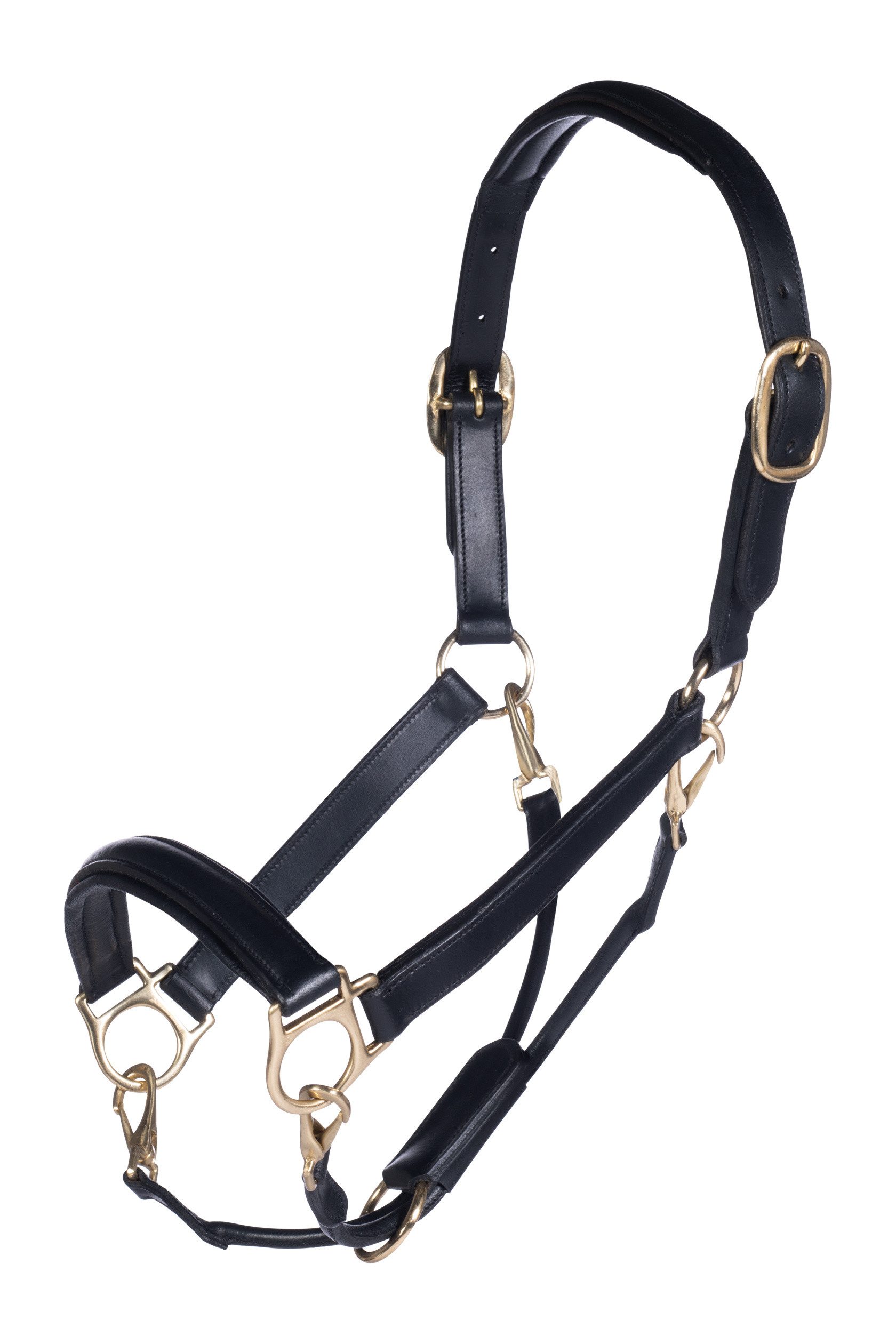 Lederhalfter Lederhalfter -Gold-