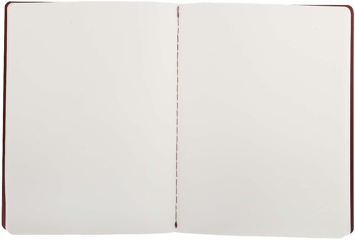 MOLESKINE Notizbuch Notizheft Cahier XL 19x25cm VE=3 Stück blanko preiselbeerrot