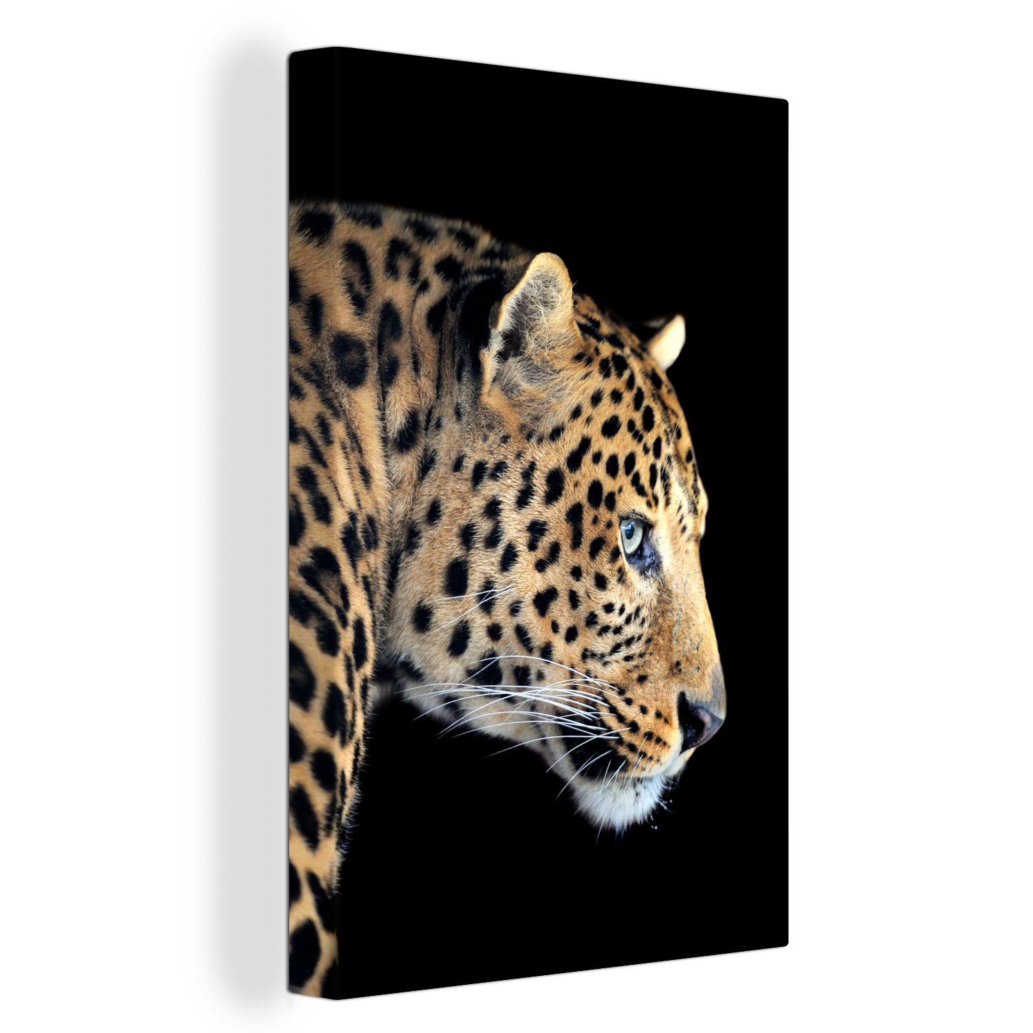 OneMillionCanvasses® Leinwandbild Leopard - Schwarz - Pelz, (1 St), Leinwandbild fertig bespannt inkl. Zackenaufhänger, Gemälde, 20x30 cm