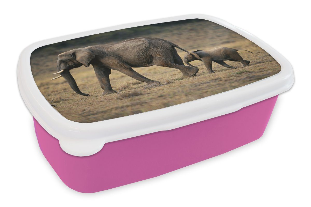 MuchoWow Lunchbox Elefant - Kalb - Kenia, Kunststoff, (2-tlg), Brotbox für Erwachsene, Brotdose Kinder, Snackbox, Mädchen, Kunststoff rosa