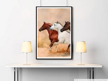 Sinus Art Poster Tierfotografie 60x90cm Poster Rennende Pferde