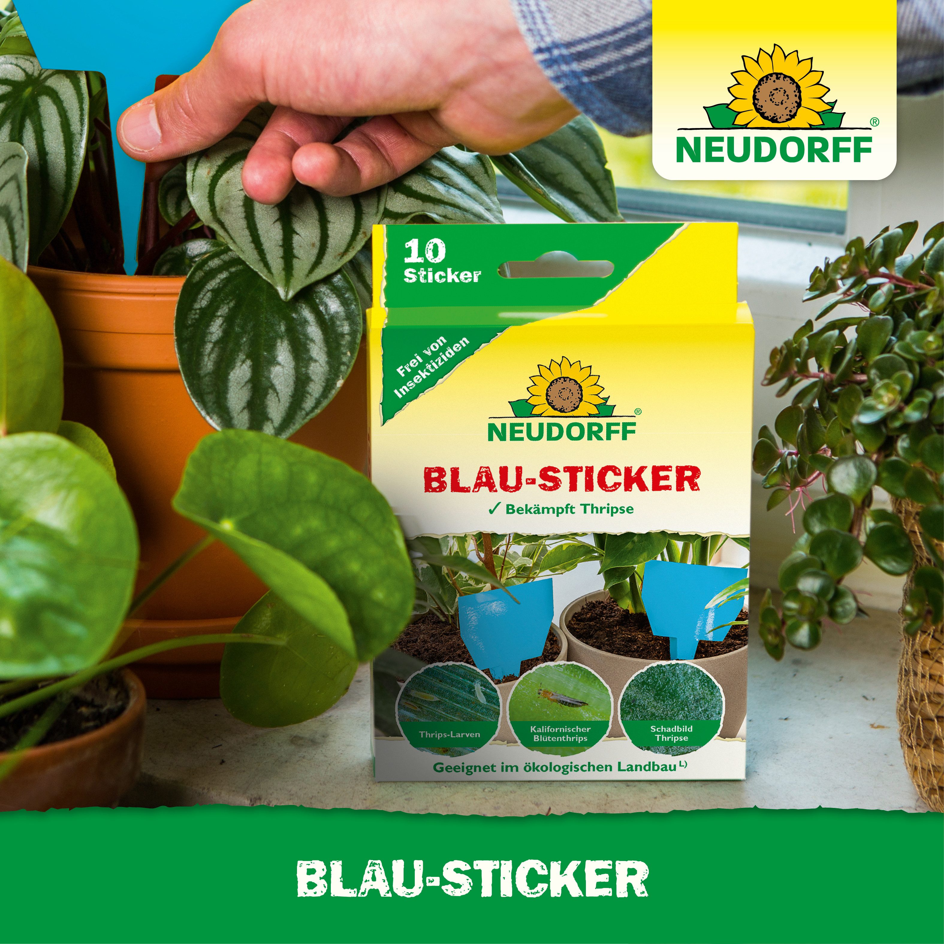 Neudorff Klebefalle Neudorff Blau-Sticker 10 Stück, 10 Blau-Sticker speziell zum Abfangen von Thripsen – Bild 5 von 5