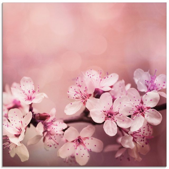 Artland Glasbild »Kirschblüten«, Blumen (1 Stück)-Otto