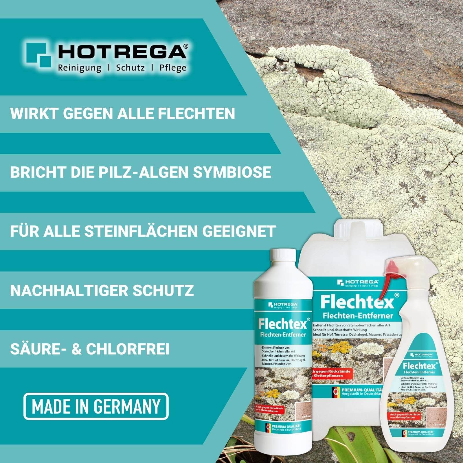HOTREGA® Flechtex Flechten Entferner Flechtenentferner 750ml mit Wurzelbürste Grünbelagentferner