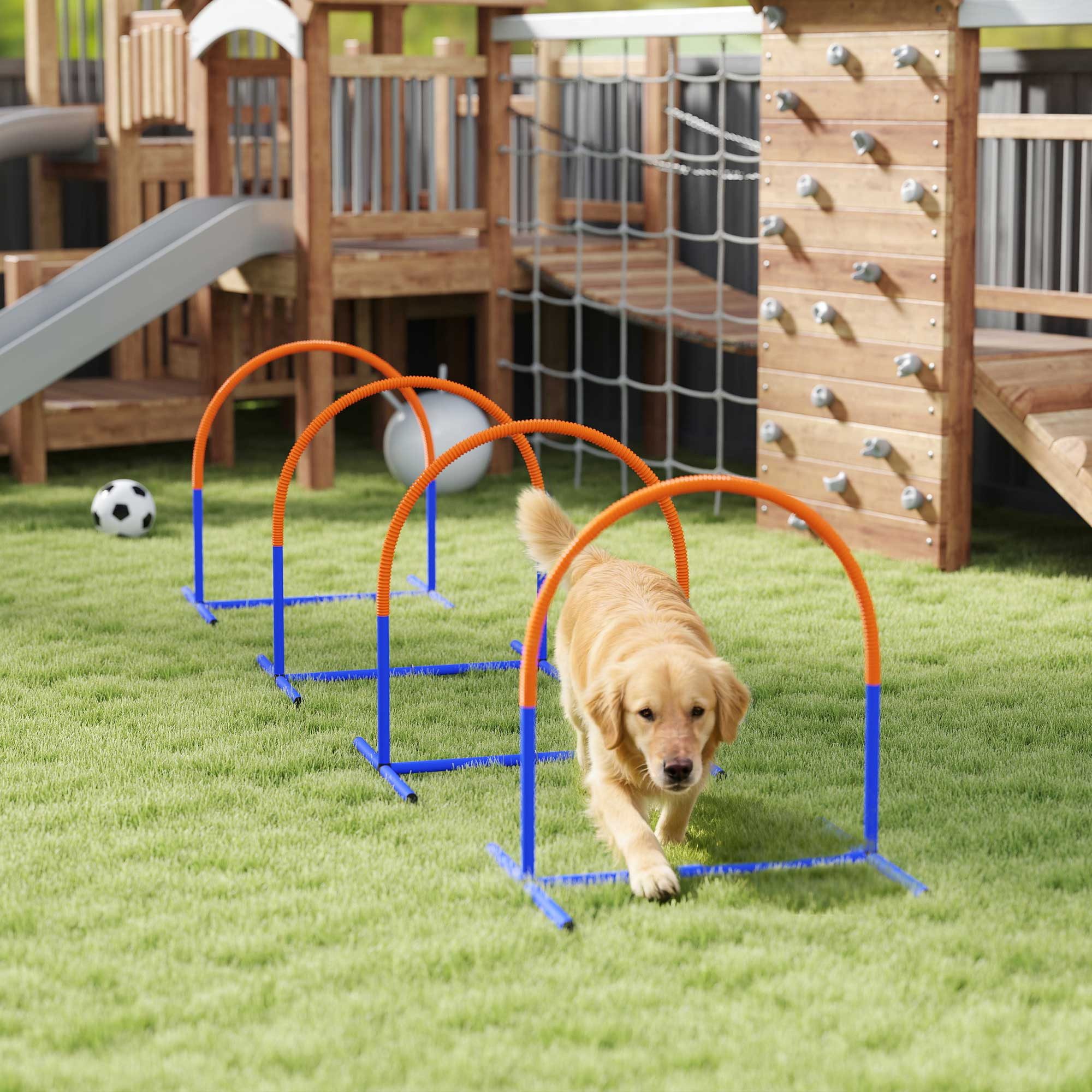 PawHut Hunde-Agility-Trainingsgeräte, Hund Agility Set, 4-teilges Steckhürdenset von PawHut