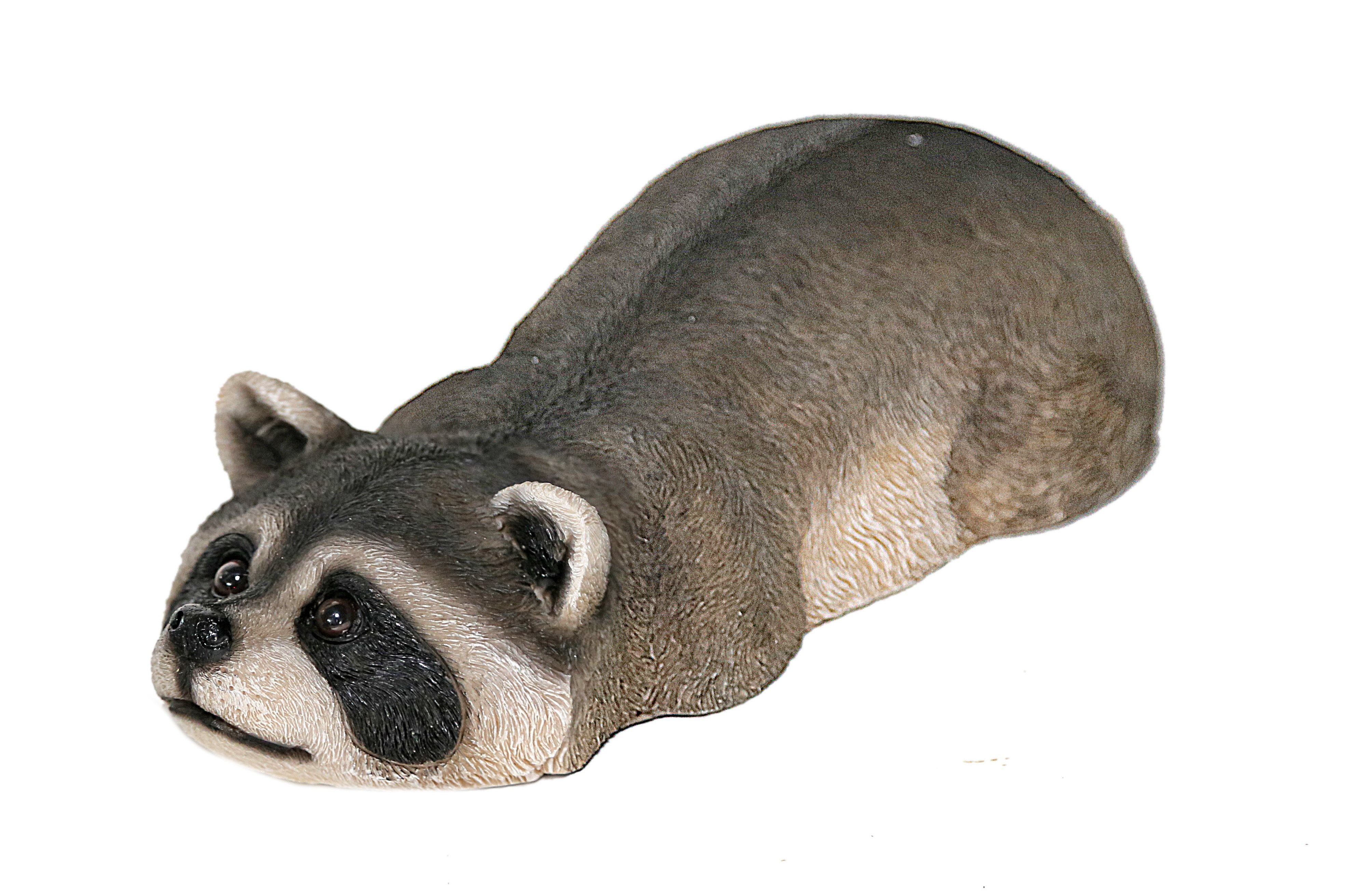 Casa Collection by Jänig Tierfigur Waschbär günstig online kaufen