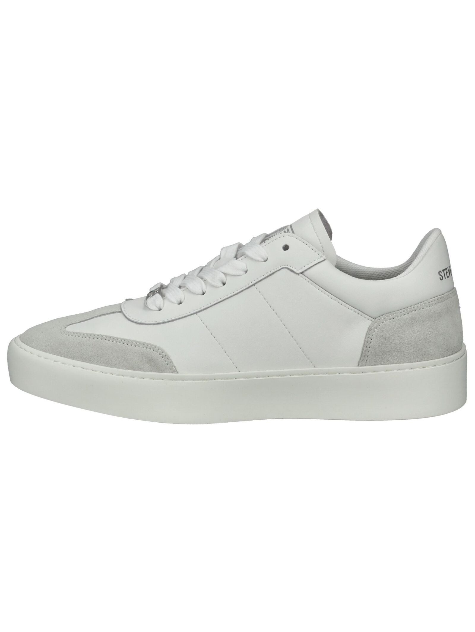 STEVE MADDEN STEVE MADDEN Sneaker Veloursleder Sneaker