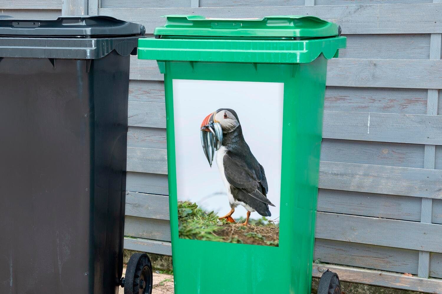 Sticker, Abfalbehälter Mülleimer-aufkleber, MuchoWow Container, Papageientaucher (1 St), Schottischer Wandsticker Mülltonne,