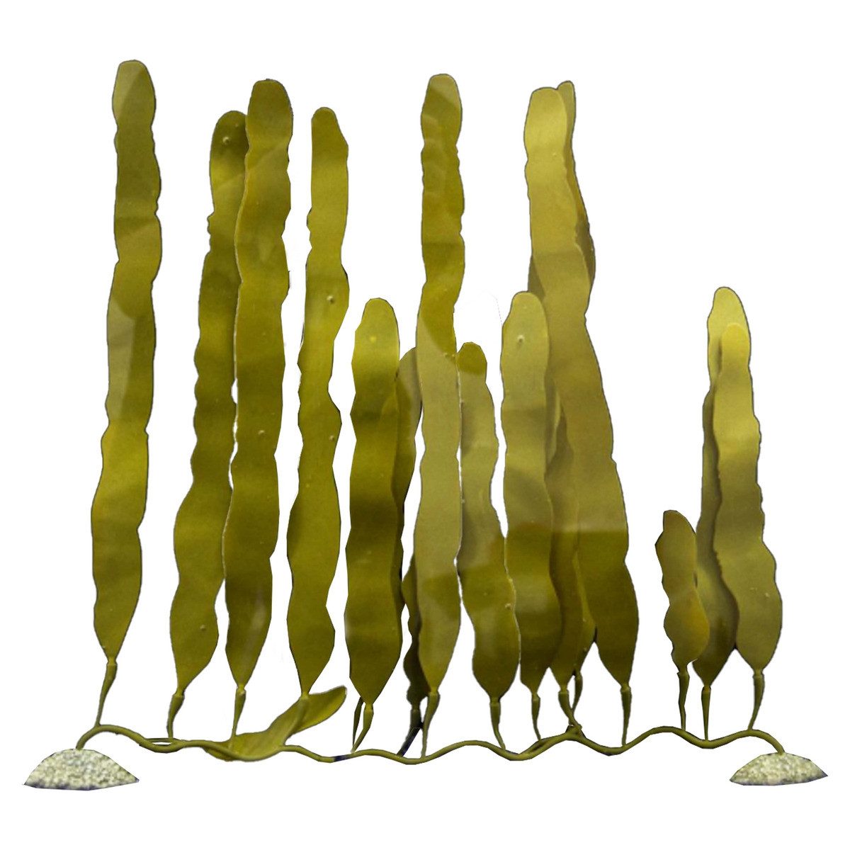 Europet-Bernina Aquariendeko Plastikpflanze Caulerpa