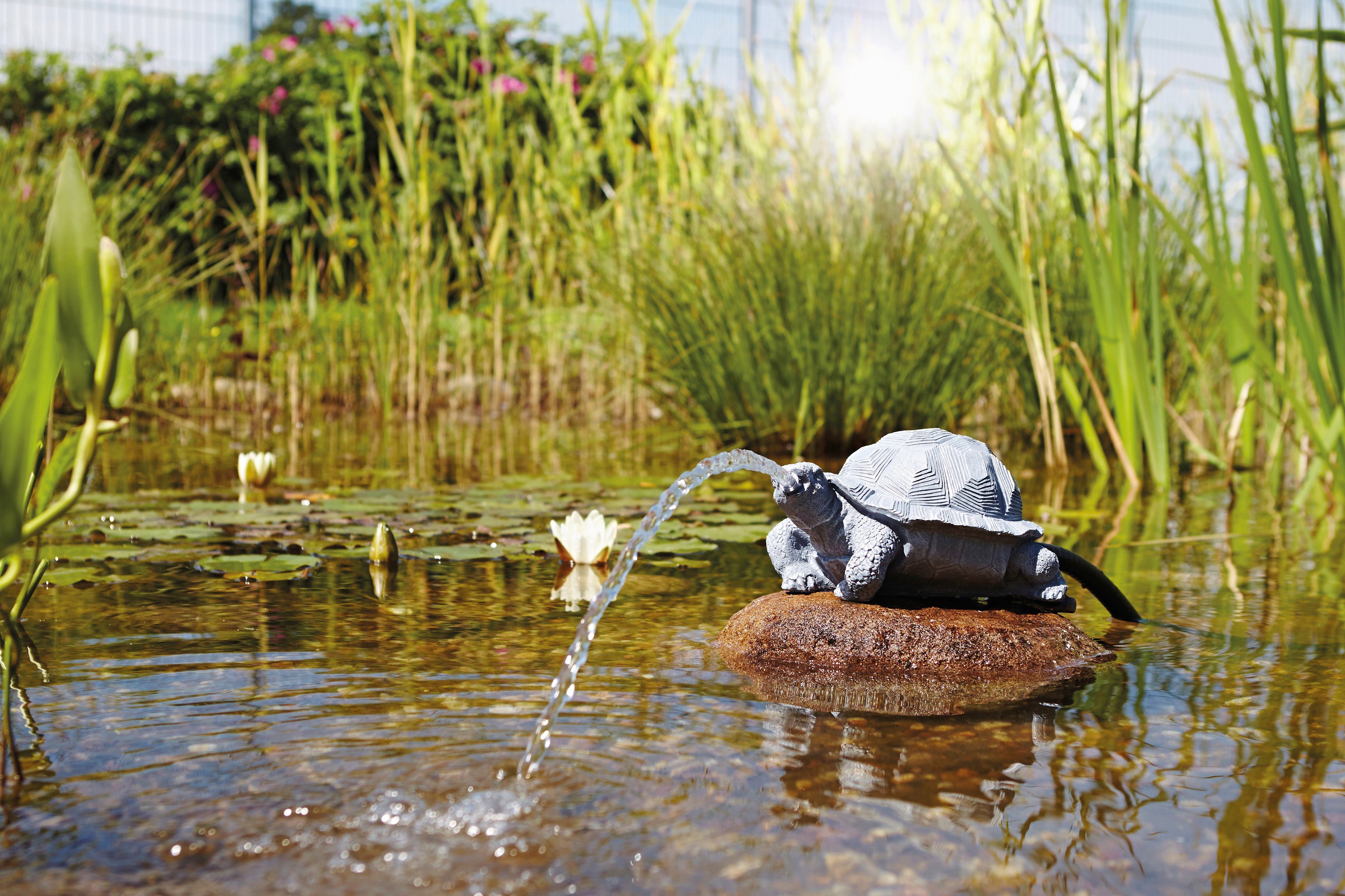 OASE Wasserspeier »Schildkröte«-kaufen