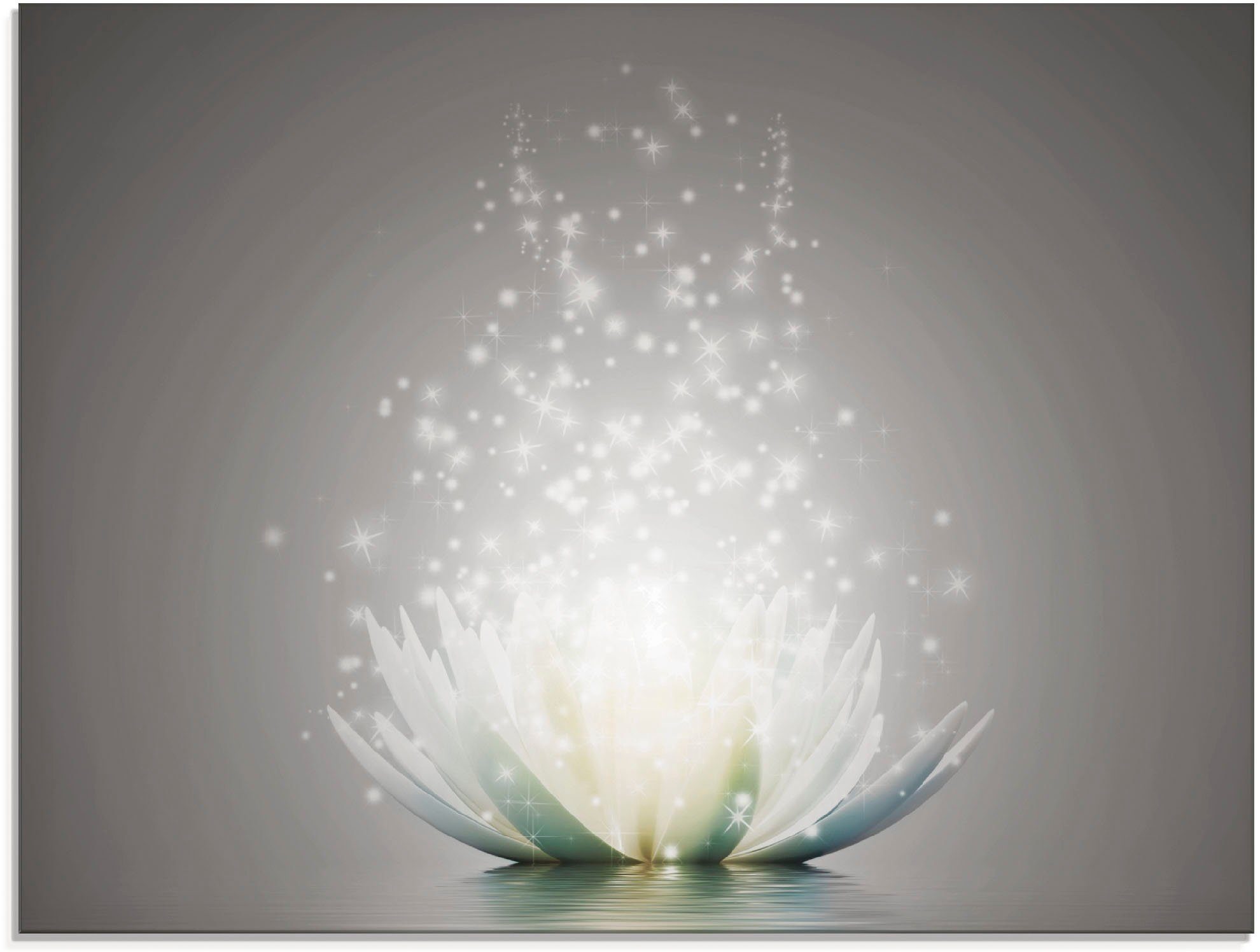 Artland Glasbild "Magie der Lotus-Blume" 1 Stk. tlg. in verschiedenen Größe günstig online kaufen