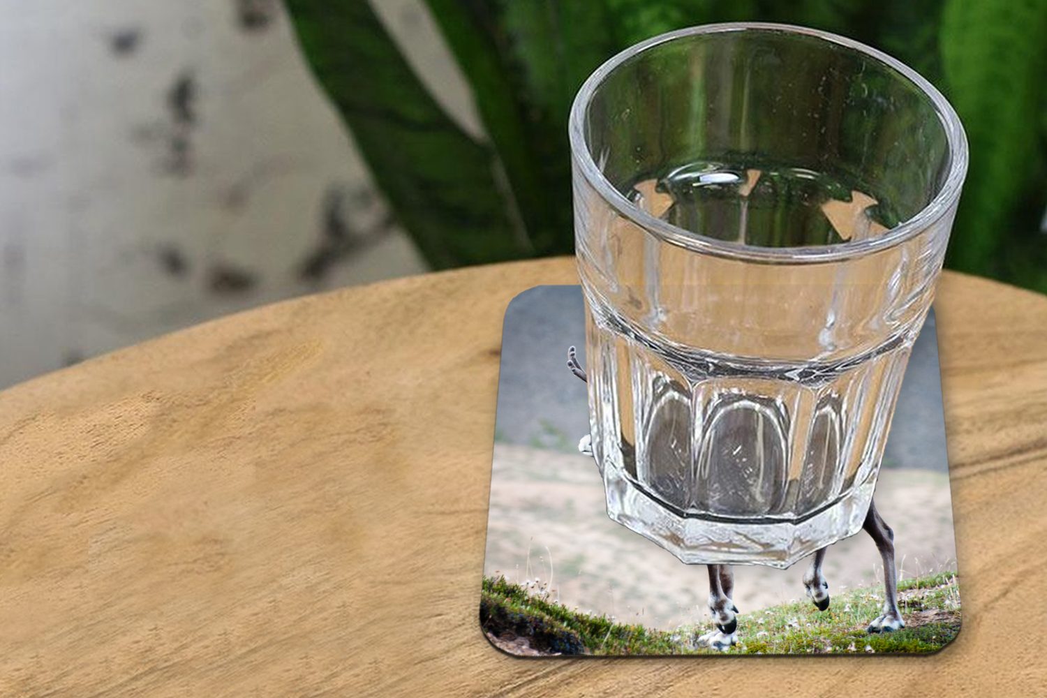 Ein Gläser, für Tischuntersetzer, unscharfen Untersetzer, einem Glasuntersetzer Hintergrund, 6-tlg., vor Glasuntersetzer, Zubehör Tasse Rentier Korkuntersetzer, MuchoWow