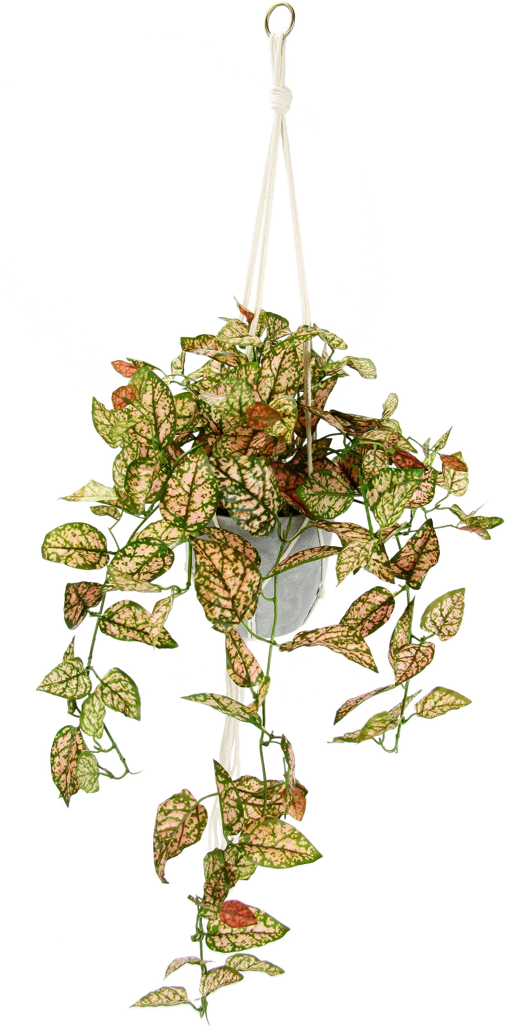 80 Hängeampel Fittonia Künstliche Topfpflanze Kunstpflanze Kunstblume Kunstpflanze, mit cm, Topf I.GE.A., Höhe