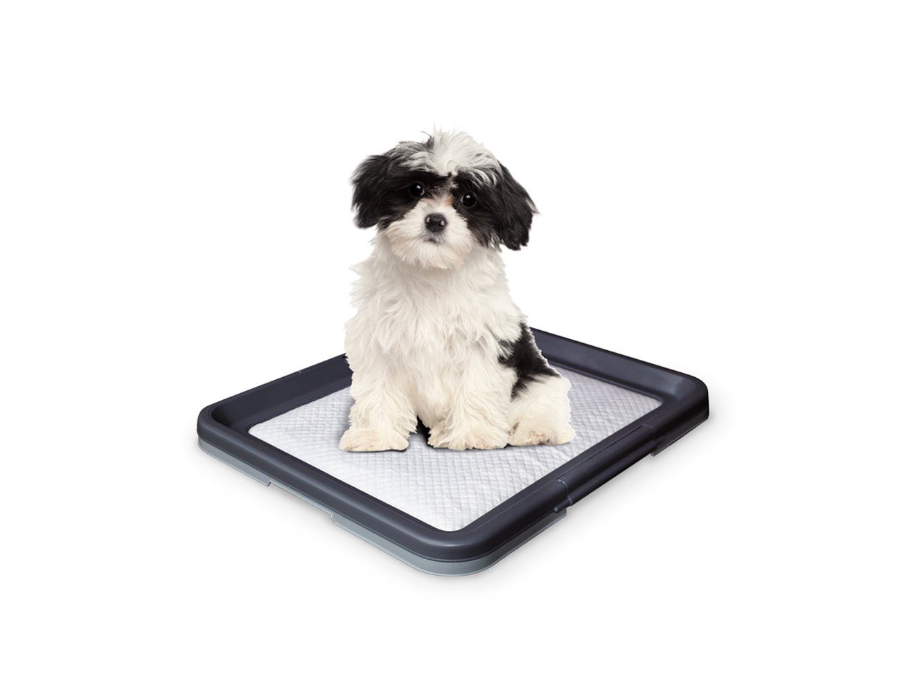 Nobby Hundematte Doggy Trainer, hilft bei der Welpenerziehung