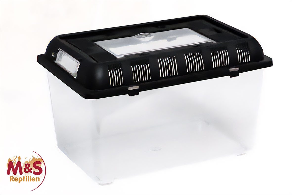Terrarium ReptiZoo Plastikterrarium medium 32,5x22x21 cm (RT2003B)