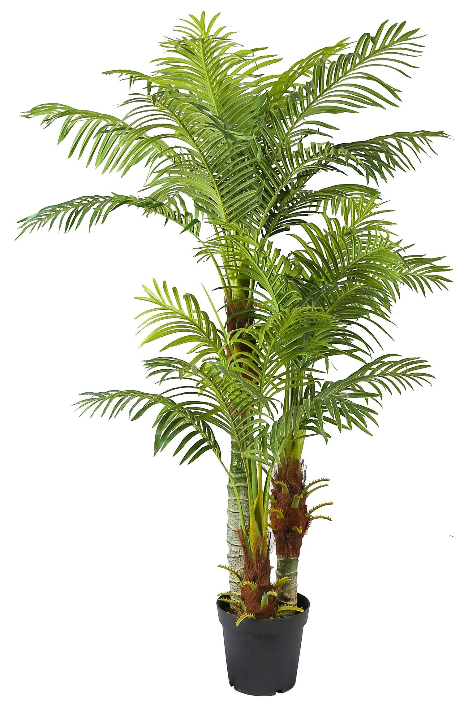 Kunstpalme Palme KP103 mit 3 Stämmen Palme 180cm Hoch, Arnusa, Höhe 180 cm, günstig online kaufen