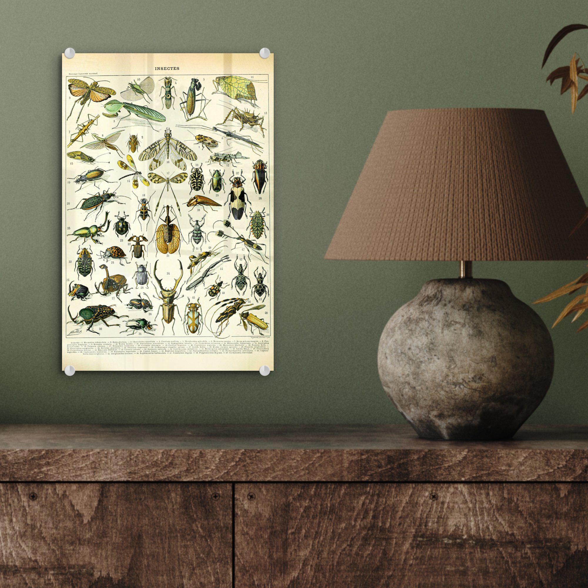 Wandbild St), (1 Glas auf - Bilder - Glas Acrylglasbild MuchoWow Tiere - Gestaltung, Wanddekoration auf - Foto - Glasbilder Insekten
