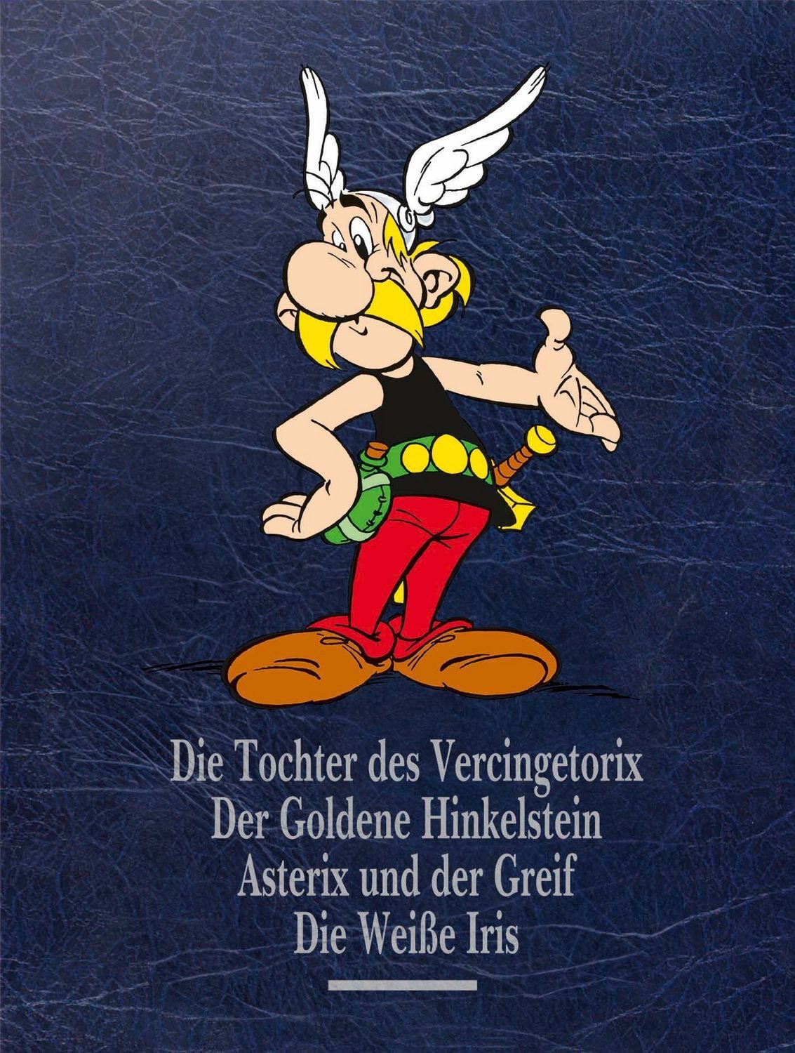 Asterix Gesamtausgabe 15 / René Goscinny, Albert Uderzo, Jean-Yves Ferri, Fabcaro
