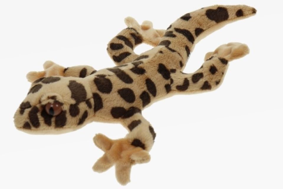 Teddys Rothenburg Kuscheltier Kuscheltier Leopardgecko beige/braun 27 cm Plüschgecko