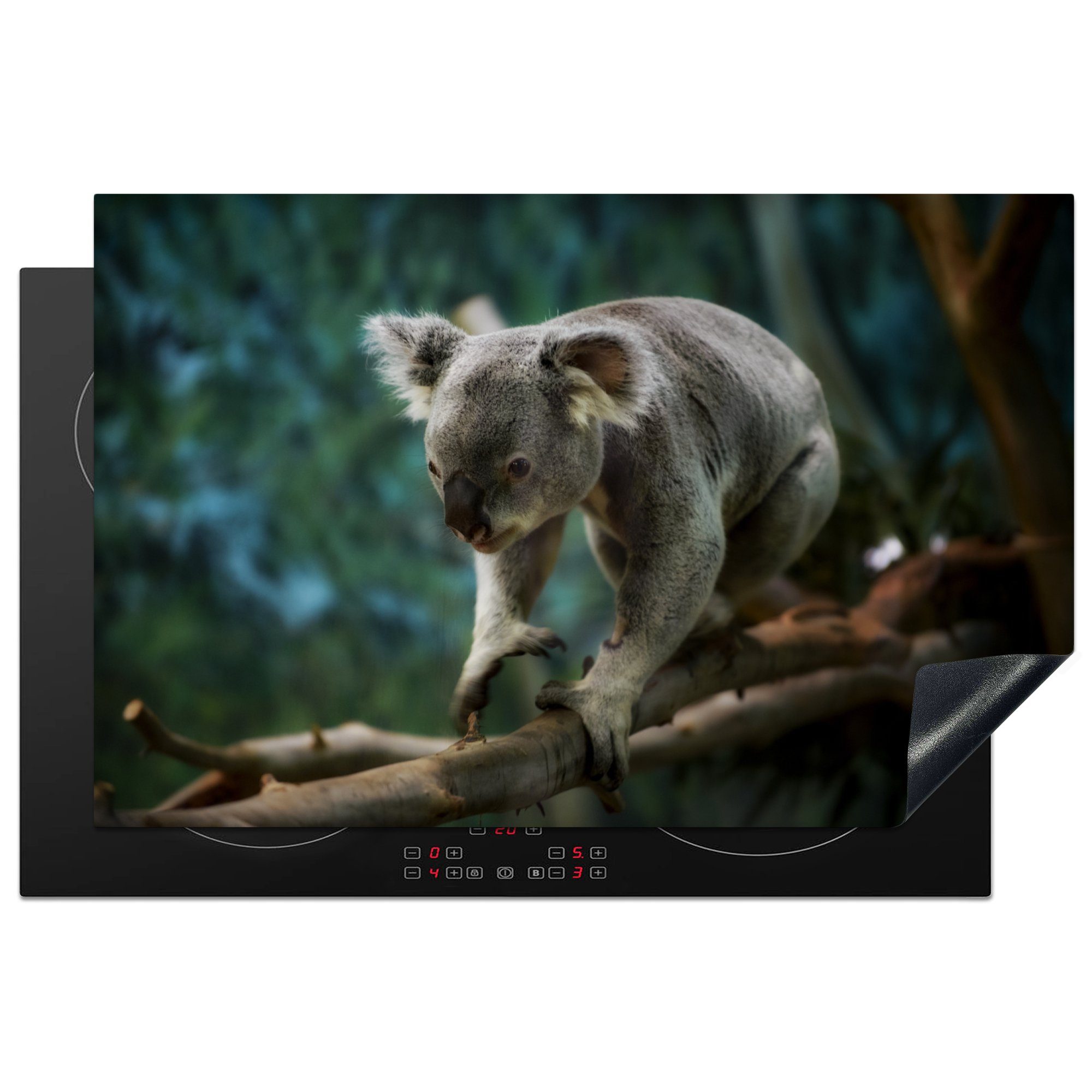 tlg), für - Australien, (1 - Induktionskochfeld 81x52 küche, Bumm Vinyl, Schutz cm, die MuchoWow Ceranfeldabdeckung Herdblende-/Abdeckplatte Koala