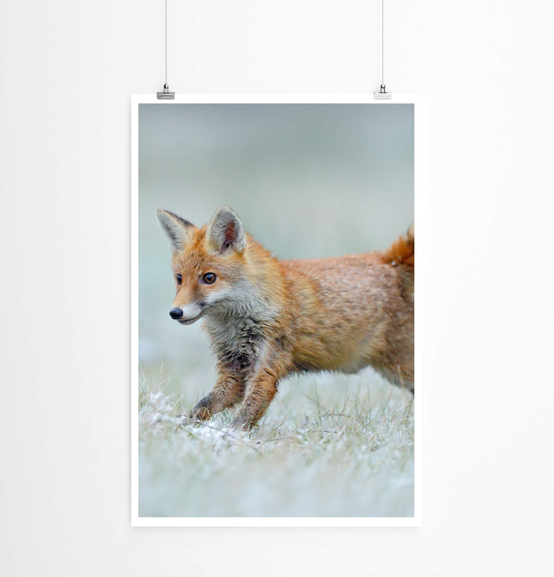 Sinus Art Poster Tierfotografie  Laufender Baby Fuchs 60x90cm Poster