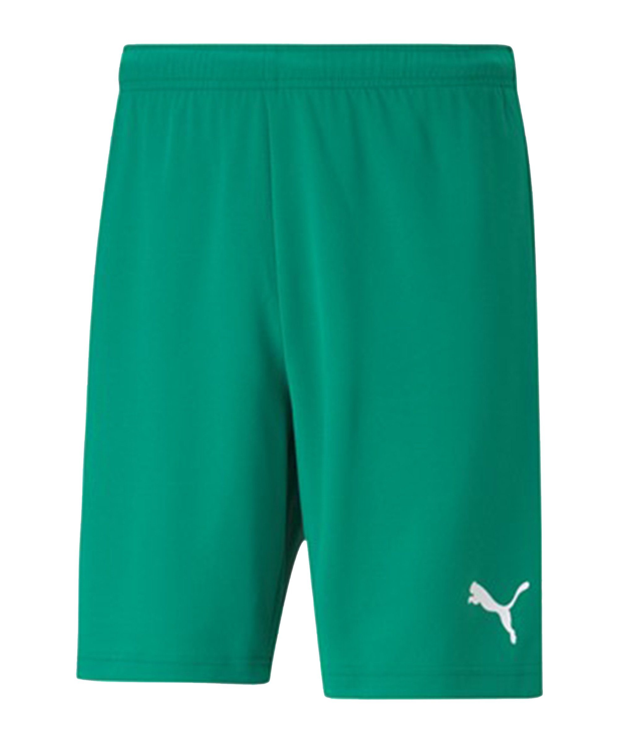 PUMA Sporthose teamRISE Short