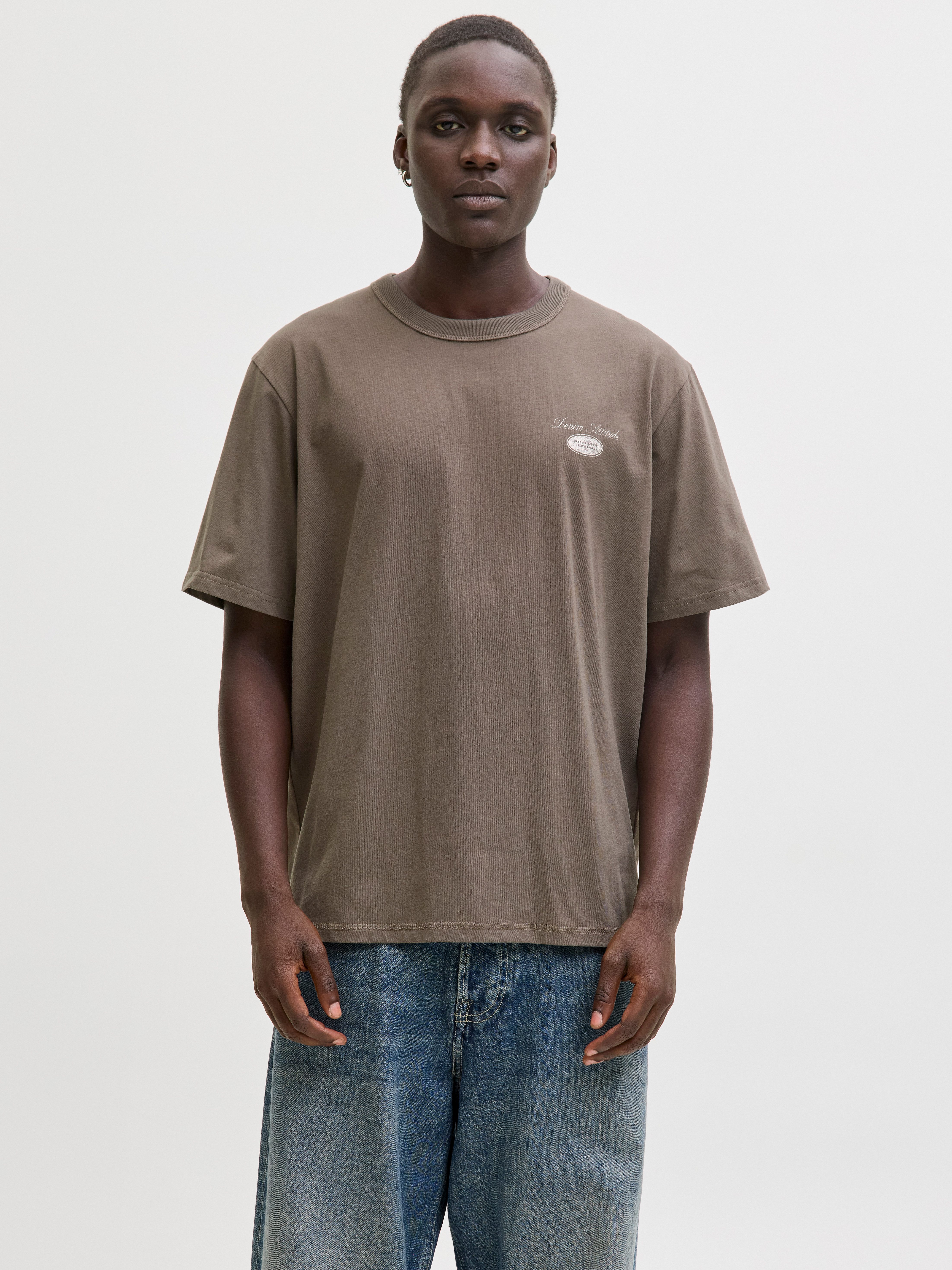 Rundhalsshirt JJEDOVER GRAPHIC TEE SS CREW NECK SN
