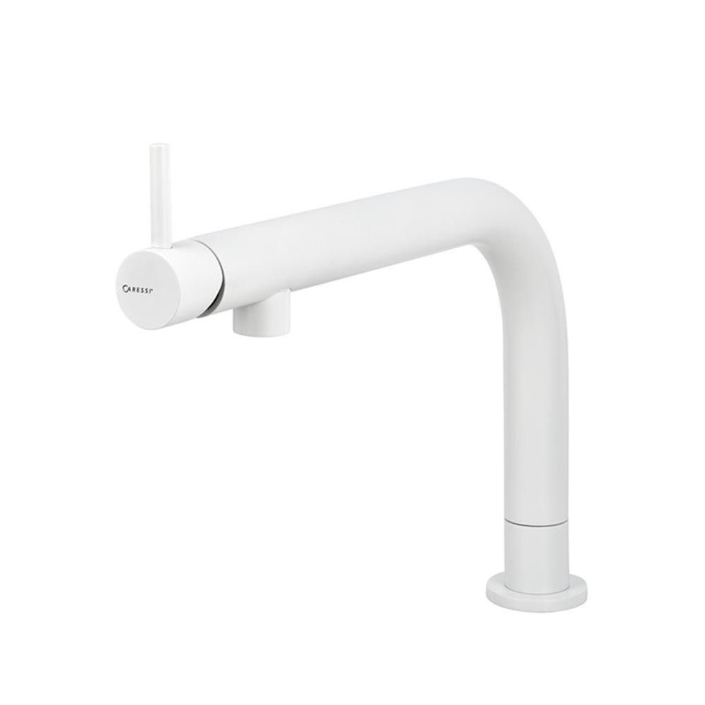 CARESSI Küchenarmatur Caressi Küchenarmatur Black und White Line CA109 ECO