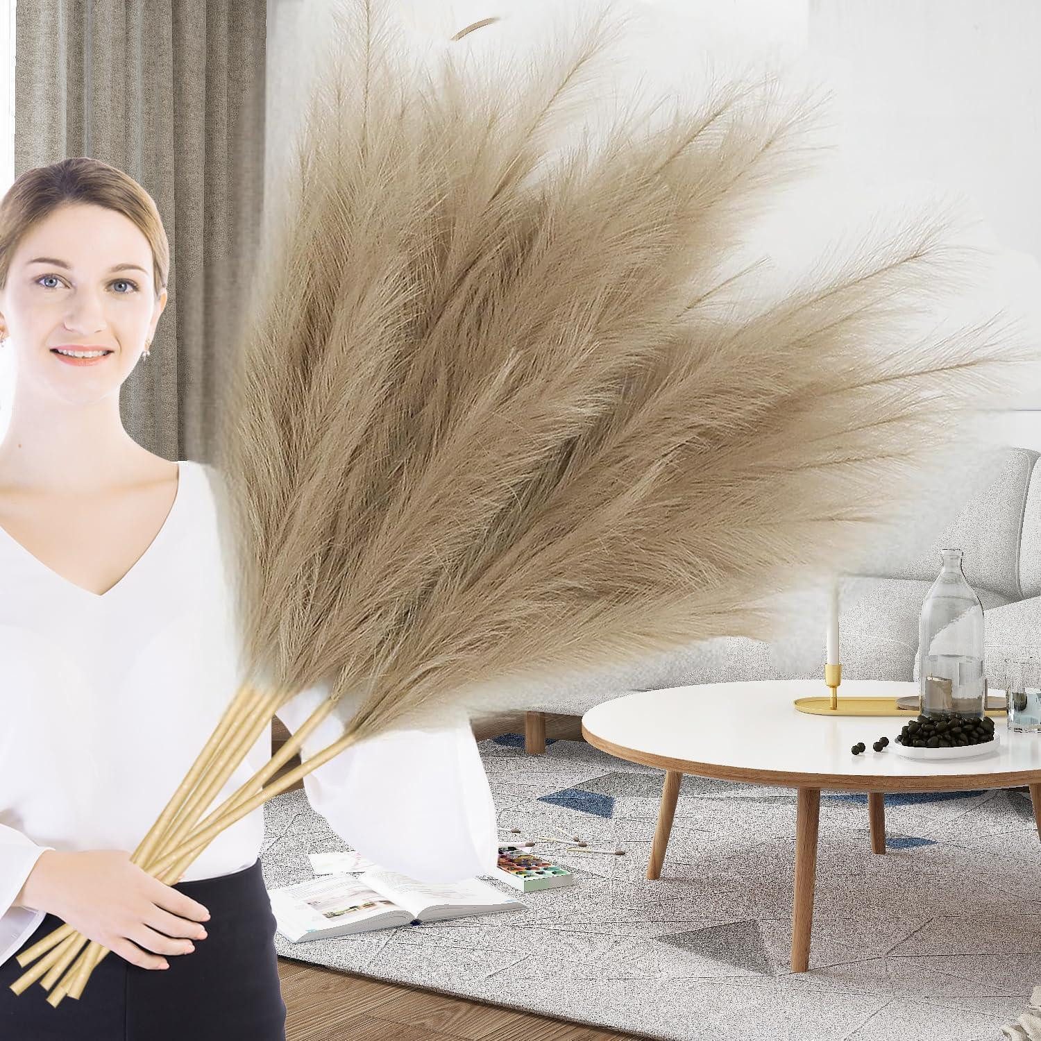 Trockenblume Pampasgras XXL 110cm 6er Set, LuxusKollektion, Höhe 1 cm