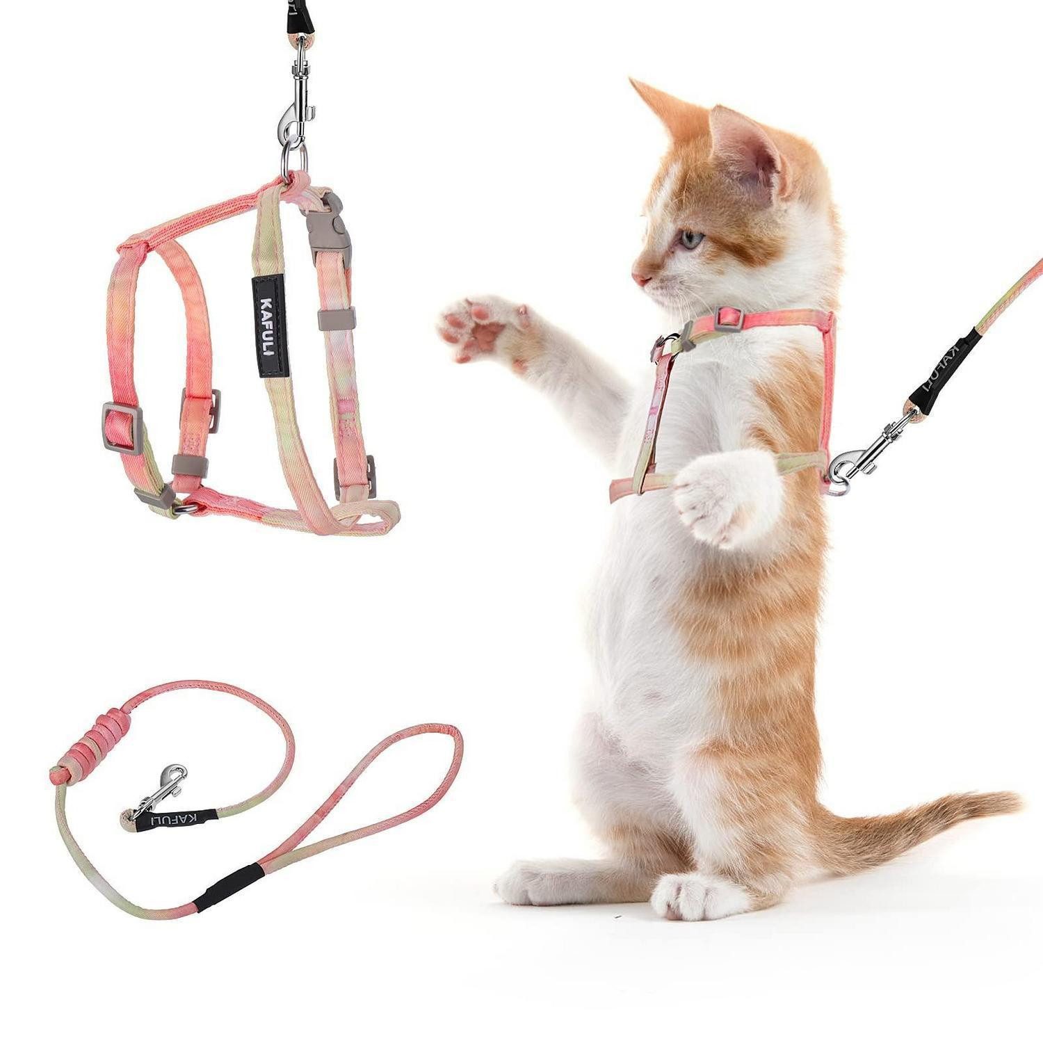 LuxusKollektion Katzen-Geschirr Katzengeschirr mit Leine Set Orange Gelb, Textil
