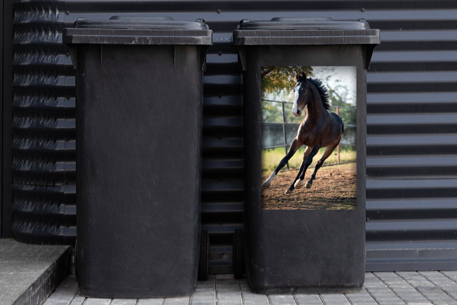 Marwari Mülltonne, Container, Mülleimer-aufkleber, (1 - Wandsticker Zaun Abfalbehälter MuchoWow Pferde Sticker, - St),