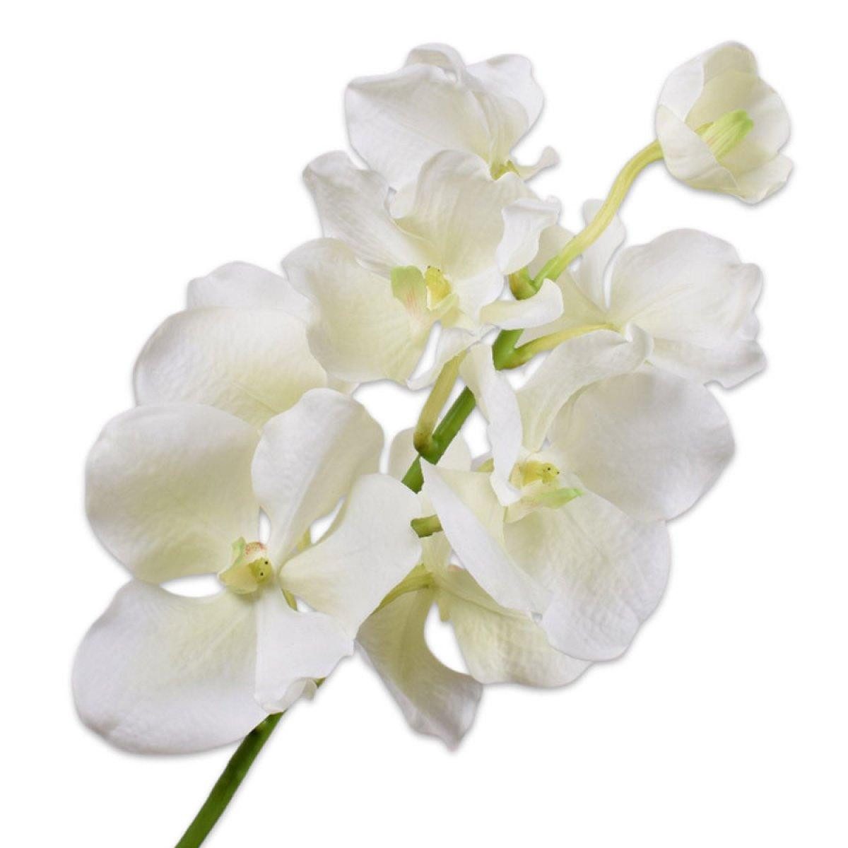 Künstliche Zimmerpflanze Seidenblume Orchidee Phalaenopsis Weiß Vanda (67cm), SILK-KA