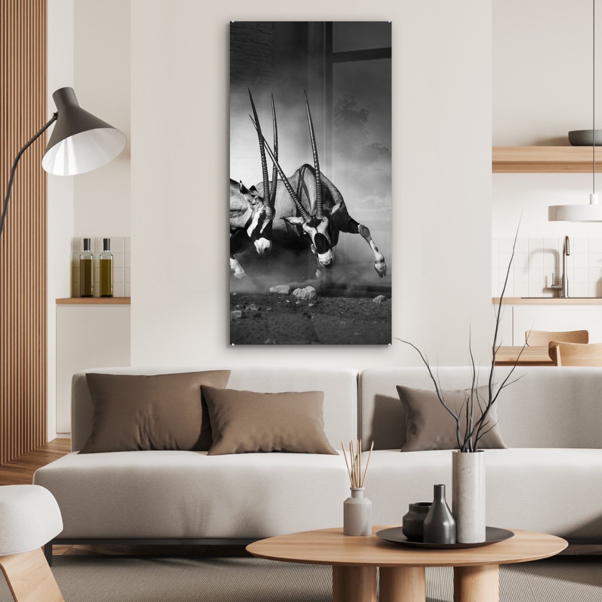 MuchoWow Acrylglasbild Antilope - Schwarz und günstig online kaufen