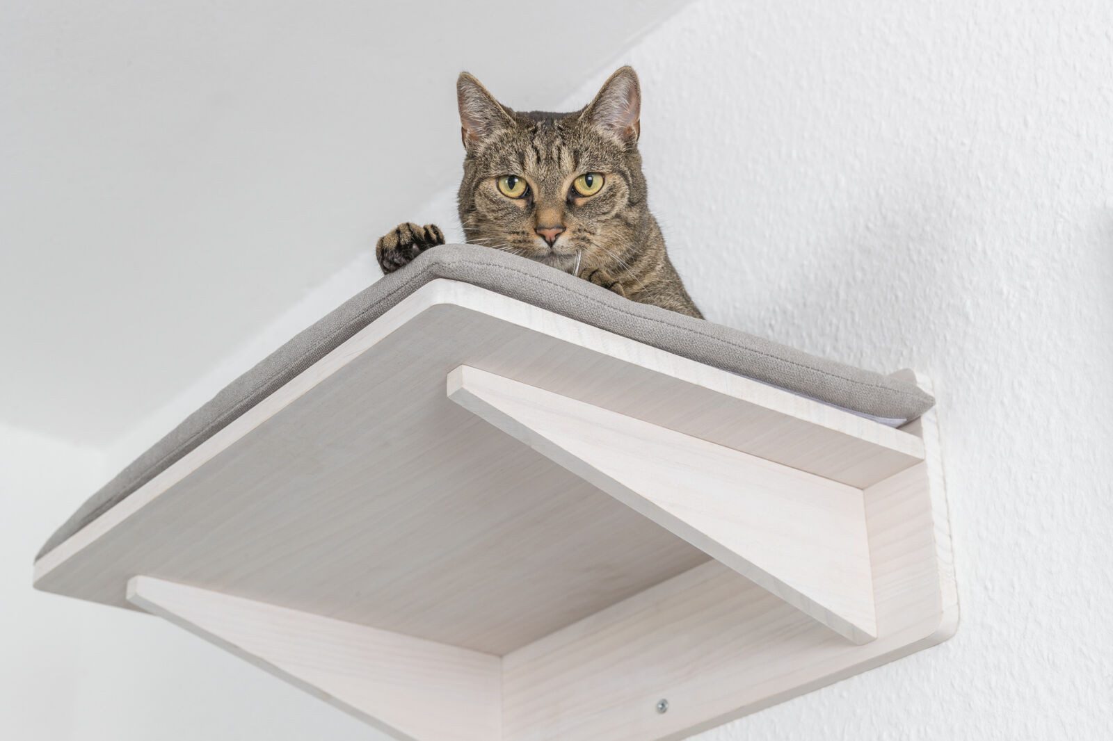 TRIXIE Katzen-Kletterwand Liegeplatte zur Wandmontage - weiß - 50 × 17,5 × 36,5 cm