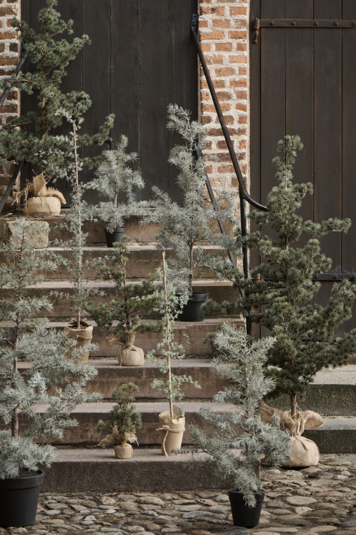 Kunstpflanze Zederbaum im Topf, Ib Laursen, günstig online kaufen