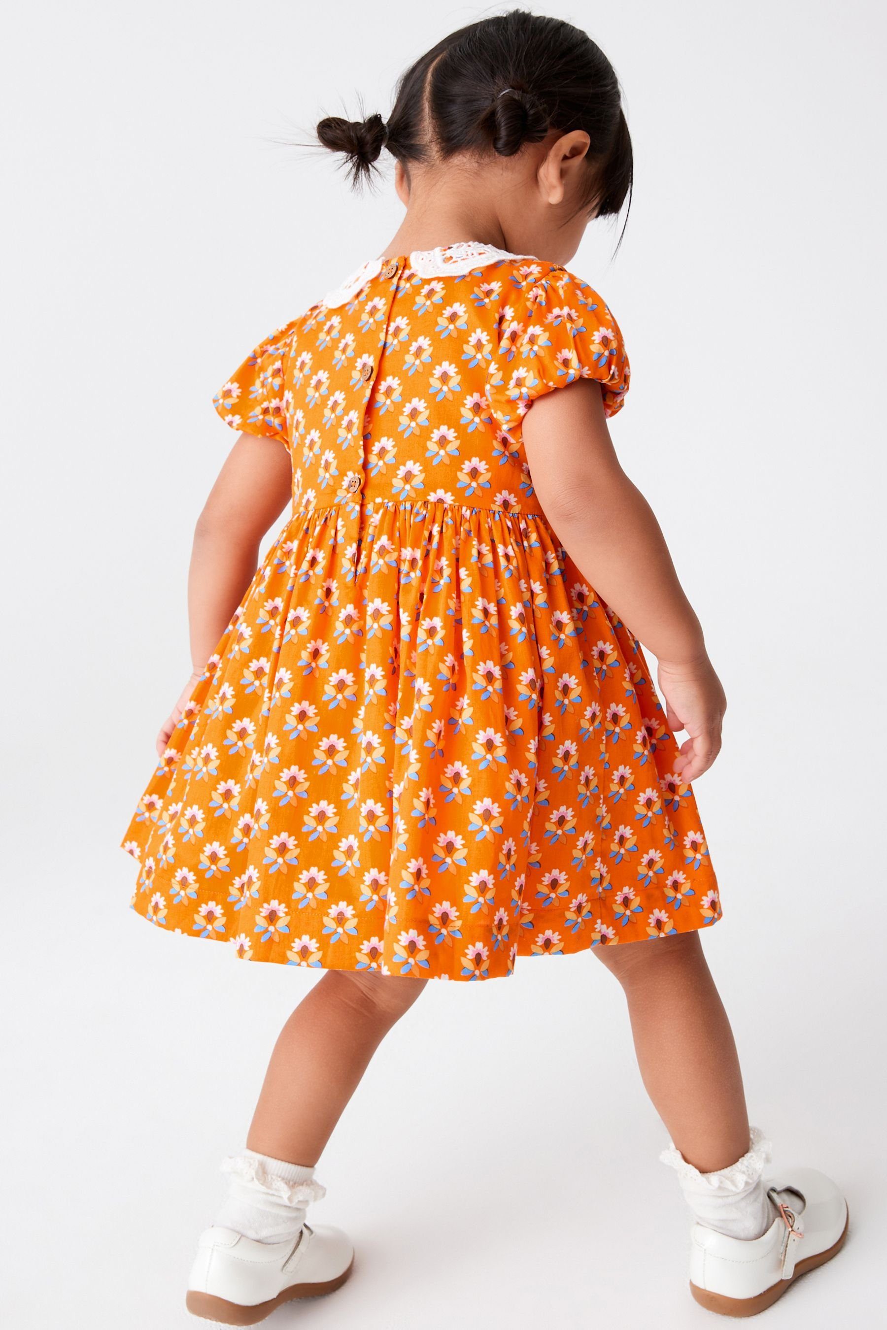 Spitzenkragen mit Next Raffdetail Baumwollkleid Orange Geo (1-tlg) Sommerkleid und