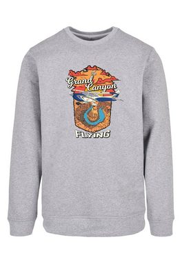 F4NT4STIC Kapuzenpullover Grand Canyon Flying Print