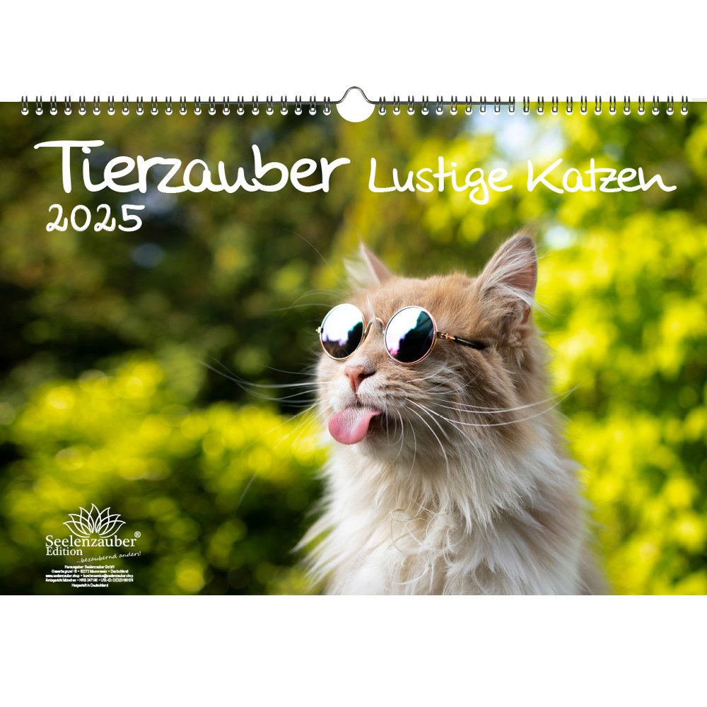 Seelenzauber Wandkalender Tierzauber lustige Katzen DIN A3 Kalender für 2025