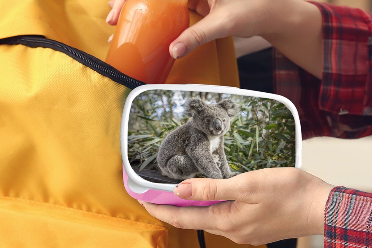MuchoWow Lunchbox (2-tlg), Koala Kunststoff, Erwachsene, Jungen - Brotdose Pflanzen für Mädchen, - Kunststoff Kinder, Brotbox - Snackbox, - - Kinder Regal Mädchen, rosa
