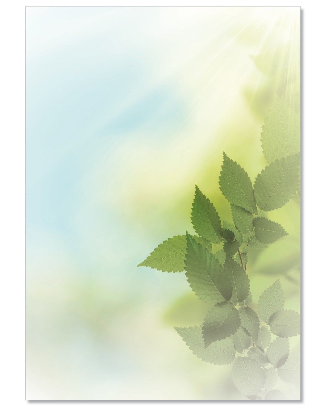 Briefpapier Motivpapier Laubfall Blätter Blatt Herbst DIN A4 gut beschreibbar